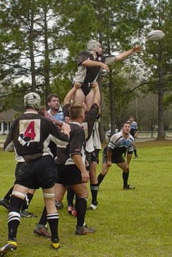 Oh no. Get that lineout!